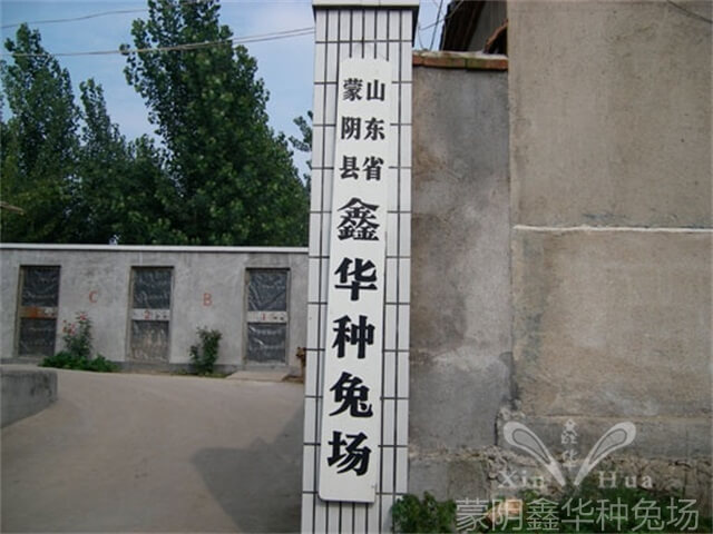 長毛兔養(yǎng)殖