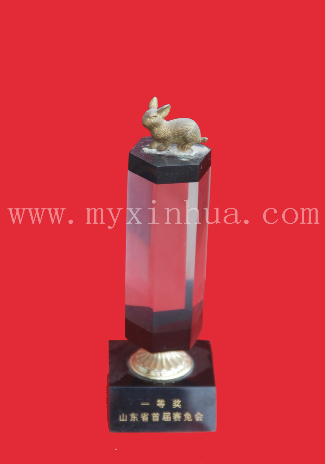 一等獎(jiǎng)長毛兔  鑫華